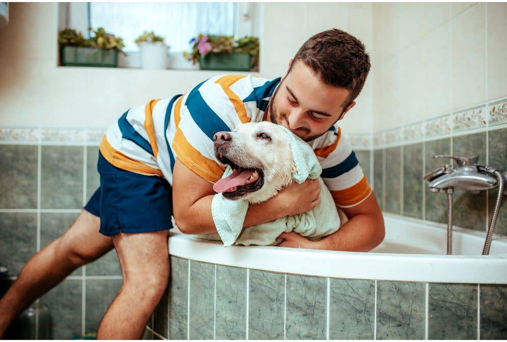 Banho em casa ou no petshop? Qual é a melhor opção?